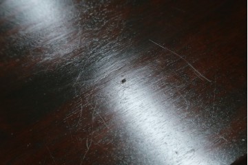 中古　美品　九州民芸家具　格子デザインがモダンな小振りの飾り棚　(R-080817)