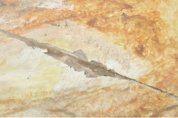 フランスアンティーク　天板栗(クリ)材・無垢材　マーブルペイントの大きな天板が目を引く特大テーブル(6人掛け、ダイニングテーブル、作業台、ワークテーブル、ディスプレイテーブル、展示台、飾り台、店舗什器)(R-080836)