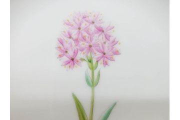 デンマーク　ROYAL COPENHAGEN(ロイヤルコペンハーゲン)　フローラダニカ　ピンクの花のデザインが可愛らしいオーバルプレート(金彩、フラワー、ディッシュ、中皿、洋食器、北欧)(R-080997)　