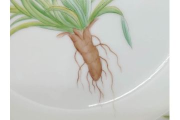 デンマーク　ROYAL COPENHAGEN(ロイヤルコペンハーゲン)　フローラダニカ　ピンクの花のデザインが可愛らしいオーバルプレート(金彩、フラワー、ディッシュ、中皿、洋食器、北欧)(R-080997)　