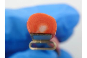アンティーク　時代物　珊瑚　ピンク　桃色　螺鈿細工　SPM刻印　和の装いを引きたてる帯留6点セット(サンゴ、鯉、魚、竹梅?、帯留め、着物道具、和装小物、アクセサリー)(R-081008)