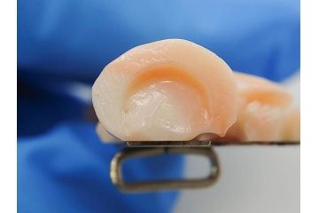 アンティーク　時代物　珊瑚　ピンク　桃色　螺鈿細工　SPM刻印　和の装いを引きたてる帯留6点セット(サンゴ、鯉、魚、竹梅?、帯留め、着物道具、和装小物、アクセサリー)(R-081008)