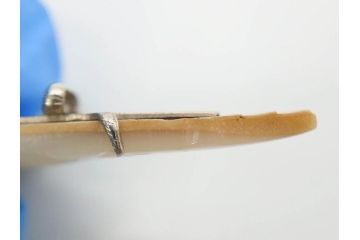 アンティーク　時代物　珊瑚　ピンク　桃色　螺鈿細工　SPM刻印　和の装いを引きたてる帯留6点セット(サンゴ、鯉、魚、竹梅?、帯留め、着物道具、和装小物、アクセサリー)(R-081008)
