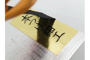 木製　本つげ細工　細かな彫りが見事な帯留6点セット(在銘作家物、介山、鯉、魚、翁面、帆船、花、月?、着物道具、和装小物、アクセサリー、帯締め、帯留め)(R-081010)