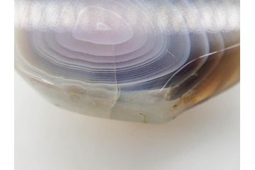 縞瑪瑙(シマメノウ)　タイガーアイ?　アンモナイト　独特な雰囲気に惹き込まれる帯留8点セット(鉱物、化石、帯留め、着物道具、和装小物、アクセサリー、ケース付き)(R-081013)
