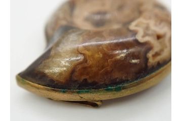 縞瑪瑙(シマメノウ)　タイガーアイ?　アンモナイト　独特な雰囲気に惹き込まれる帯留8点セット(鉱物、化石、帯留め、着物道具、和装小物、アクセサリー、ケース付き)(R-081013)