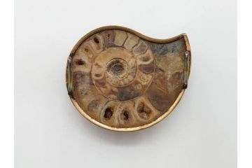 縞瑪瑙(シマメノウ)　タイガーアイ?　アンモナイト　独特な雰囲気に惹き込まれる帯留8点セット(鉱物、化石、帯留め、着物道具、和装小物、アクセサリー、ケース付き)(R-081013)