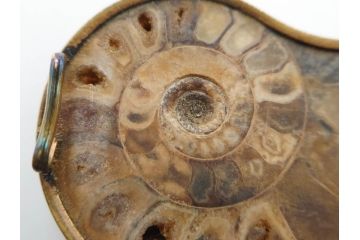 縞瑪瑙(シマメノウ)　タイガーアイ?　アンモナイト　独特な雰囲気に惹き込まれる帯留8点セット(鉱物、化石、帯留め、着物道具、和装小物、アクセサリー、ケース付き)(R-081013)
