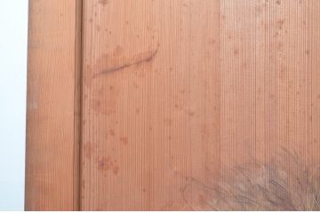 アンティーク建具　激レア　希少!!　迫力のあるライオンと細部まで描かれた雁(ガン)の図柄が目を惹かれる板絵戸3枚セット(引き戸、板戸、獅子、鳥)(R-081028)