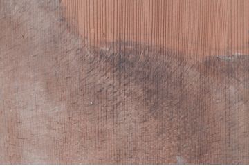 アンティーク建具　激レア　希少!!　迫力のあるライオンと細部まで描かれた雁(ガン)の図柄が目を惹かれる板絵戸3枚セット(引き戸、板戸、獅子、鳥)(R-081028)