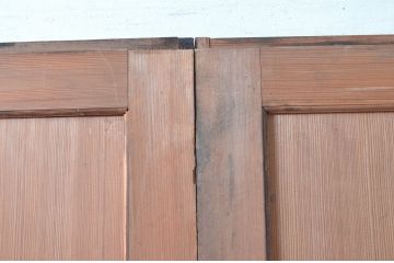 アンティーク建具　激レア　希少!!　迫力のあるライオンと細部まで描かれた雁(ガン)の図柄が目を惹かれる板絵戸3枚セット(引き戸、板戸、獅子、鳥)(R-081028)