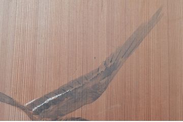 アンティーク建具　激レア　希少!!　迫力のあるライオンと細部まで描かれた雁(ガン)の図柄が目を惹かれる板絵戸3枚セット(引き戸、板戸、獅子、鳥)(R-081028)
