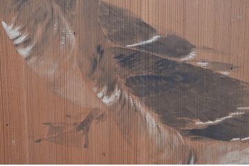 アンティーク建具　激レア　希少!!　迫力のあるライオンと細部まで描かれた雁(ガン)の図柄が目を惹かれる板絵戸3枚セット(引き戸、板戸、獅子、鳥)(R-081028)