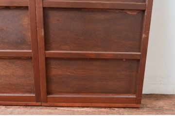 アンティーク建具　編み目が素敵な網代(あじろ)入り窓2枚セット(引き戸、建具)(R-081056)
