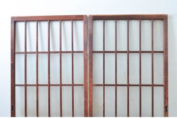 アンティーク建具　使い込まれた風合いが味わい深いガラス戸2枚セット(引き戸、建具)(R-081082)