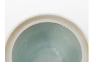須田菁華　九谷焼　呉須赤絵　赤玉　鮮やかな色合いに気分も華やぐ急須(花、和食器、水注、茶道具、煎茶、茶器、水指、水差、共箱付き、ウコン布付き)(R-081325)