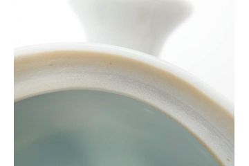 須田菁華　九谷焼　呉須赤絵　赤玉　鮮やかな色合いに気分も華やぐ急須(花、和食器、水注、茶道具、煎茶、茶器、水指、水差、共箱付き、ウコン布付き)(R-081325)