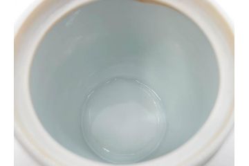 須田菁華　九谷焼　呉須赤絵　赤玉　鮮やかな色合いに気分も華やぐ急須(花、和食器、水注、茶道具、煎茶、茶器、水指、水差、共箱付き、ウコン布付き)(R-081325)
