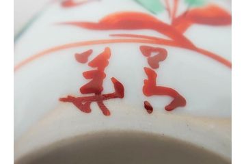 須田菁華　九谷焼　呉須赤絵　赤玉　鮮やかな色合いに気分も華やぐ急須(花、和食器、水注、茶道具、煎茶、茶器、水指、水差、共箱付き、ウコン布付き)(R-081325)