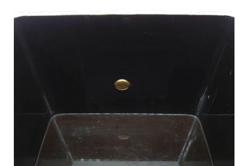 明治期　時代物　蒔絵　漆器　優美で上品な雰囲気の手箱(桜?、花、金彩、木製、漆芸、漆器、文箱、収納箱、手許箱、紐付き)(R-081352)
