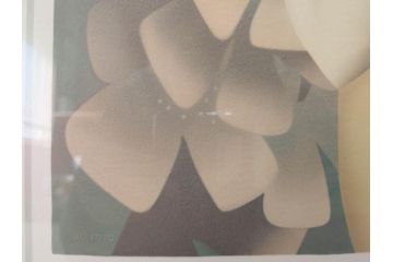 真作　東郷青児　「花」　222/275　リトグラフ(人物、女性、版画、額付き、絵画、落款印、サイン付き、外箱付き)(R-081384)