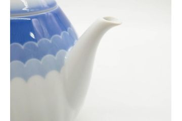 ビンテージ　ドイツ　Arzberg(アルツベルグ)　優美なフォルムが見事なティーポット&クリーマー&シュガーポットセット(ミルクジャー、ミルクポット、ボンボン入れ、洋食器)(R-081396)