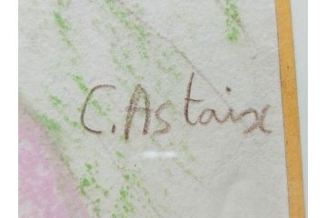 真作　CLAIRE ASTAIX　クレール・アステックス　「緑のベール」　サイン入り　パステル画(人物、女性、写真付き、絵画、額装、外箱付き)(R-081398)