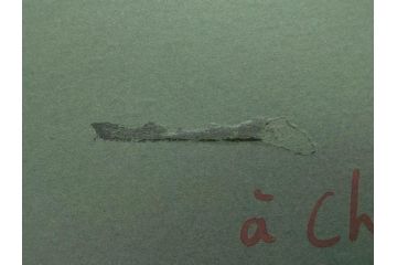 真作　CLAIRE ASTAIX　クレール・アステックス　「緑のベール」　サイン入り　パステル画(人物、女性、写真付き、絵画、額装、外箱付き)(R-081398)
