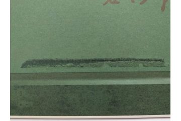真作　CLAIRE ASTAIX　クレール・アステックス　「緑のベール」　サイン入り　パステル画(人物、女性、写真付き、絵画、額装、外箱付き)(R-081398)