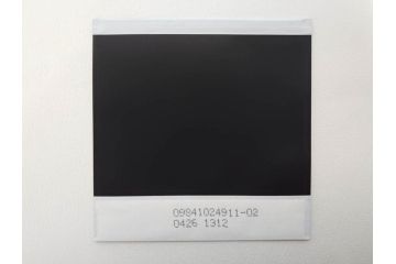 真作　CLAIRE ASTAIX　クレール・アステックス　「緑のベール」　サイン入り　パステル画(人物、女性、写真付き、絵画、額装、外箱付き)(R-081398)