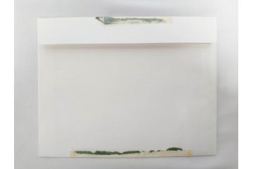 真作　CLAIRE ASTAIX　クレール・アステックス　「緑のベール」　サイン入り　パステル画(人物、女性、写真付き、絵画、額装、外箱付き)(R-081398)