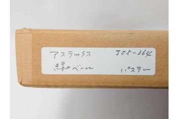 真作　CLAIRE ASTAIX　クレール・アステックス　「緑のベール」　サイン入り　パステル画(人物、女性、写真付き、絵画、額装、外箱付き)(R-081398)