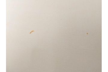真作　林朝路　「ベルノン朝明け」　M15(15号)　絵画(油絵、油彩、風景、川辺、サイン入り、額装、外箱付き)(R-081400)