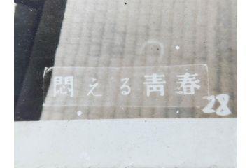昭和30年代　東宝写真ニュース　東映スコープ　大映スコープ　映画　ブロマイド　黒澤明　三船敏郎　スチール写真など23点セット(チラシ、古写真、白黒写真、女優、俳優、時代劇、生きものの記録、乱菊物語、悶える青春、一心太助、母)(R-081420)