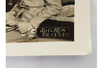 大映　松竹　東映　映画　ブロマイド　スチール写真104枚セット(白黒写真、女優、俳優、古写真、安宅家の人々、緑の仲間、泥にまみれて、心に花の咲く日まで、戦慄の七仮面)(R-081421)
