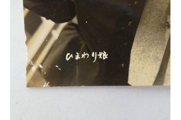 松竹　大映　東映　映画　ブロマイド　写真103枚セット(女優、俳優、古写真、白黒写真、有楽町で逢いましょう、西遊記、ひまわり娘、チャタレイ夫人は日本にもいた、邦画)(R-081426)