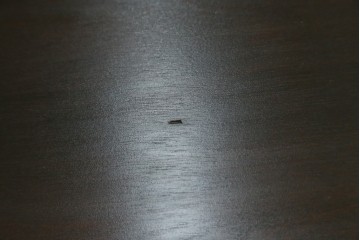 中古　特大サイズ　希少な廃番品　北海道民芸家具　洗練されたデザインが魅力のダイニングテーブル　(R-081440)