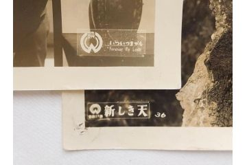三映社　松竹　大映　東宝　映画　ブロマイド　写真137枚セット(女優、俳優、古写真、白黒写真、いついつまでも、新しき天、東は東、隊長ブーリバ、ブルーバ、洋画、邦画)(R-081463)