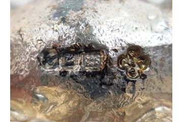 STERLING　SILVER　925　カバ　置物など14点(ホールマーク、動物、アニマル、オブジェ、ディスプレイ、アクセサリー)(R-081478)