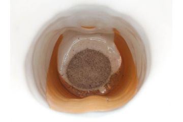 金森伸郎　志野焼　志野灰被　雪野志野　温かみを感じる独特の風合いが魅力の花生2点セット(前田昌道書付、花活、花入、花器、花瓶、ウコン布付き、裏印、共箱付)(R-081510)