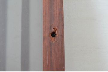 アンティーク建具　古民家スタイルにおすすめなガラス入り幅狭の玄関戸2枚セット(ガラス戸、引き戸、格子戸)(R-081585)