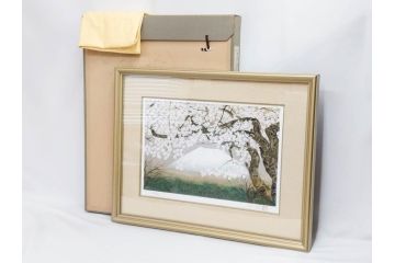 1997年　中島千波　「華三彩　櫻花の不二」　215/300　サイン入り　春爛漫の息吹を感じるシルクスクリーン(桜、風景、版画、エディション入り、額装、外箱付)(R-081670)