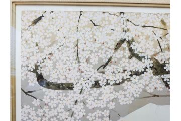 1997年　中島千波　「華三彩　櫻花の不二」　215/300　サイン入り　春爛漫の息吹を感じるシルクスクリーン(桜、風景、版画、エディション入り、額装、外箱付)(R-081670)