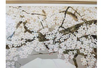1997年　中島千波　「華三彩　櫻花の不二」　215/300　サイン入り　春爛漫の息吹を感じるシルクスクリーン(桜、風景、版画、エディション入り、額装、外箱付)(R-081670)