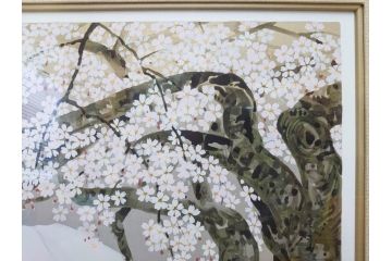 1997年　中島千波　「華三彩　櫻花の不二」　215/300　サイン入り　春爛漫の息吹を感じるシルクスクリーン(桜、風景、版画、エディション入り、額装、外箱付)(R-081670)