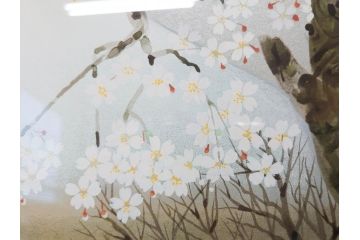 1997年　中島千波　「華三彩　櫻花の不二」　215/300　サイン入り　春爛漫の息吹を感じるシルクスクリーン(桜、風景、版画、エディション入り、額装、外箱付)(R-081670)