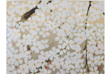 1997年　中島千波　「華三彩　櫻花の不二」　215/300　サイン入り　春爛漫の息吹を感じるシルクスクリーン(桜、風景、版画、エディション入り、額装、外箱付)(R-081670)