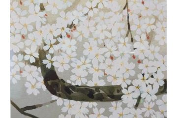 1997年　中島千波　「華三彩　櫻花の不二」　215/300　サイン入り　春爛漫の息吹を感じるシルクスクリーン(桜、風景、版画、エディション入り、額装、外箱付)(R-081670)