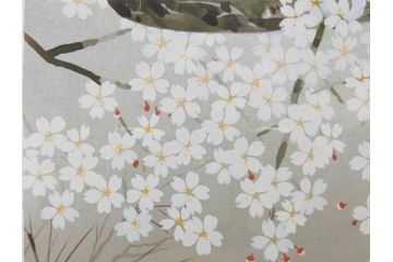 1997年　中島千波　「華三彩　櫻花の不二」　215/300　サイン入り　春爛漫の息吹を感じるシルクスクリーン(桜、風景、版画、エディション入り、額装、外箱付)(R-081670)