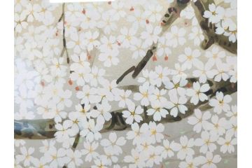 1997年　中島千波　「華三彩　櫻花の不二」　215/300　サイン入り　春爛漫の息吹を感じるシルクスクリーン(桜、風景、版画、エディション入り、額装、外箱付)(R-081670)